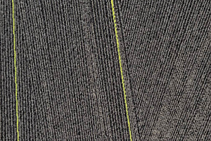 Ковровая плитка Milliken Facet fca 103-79 Anthracite Citrus фото  | FLOORDEALER